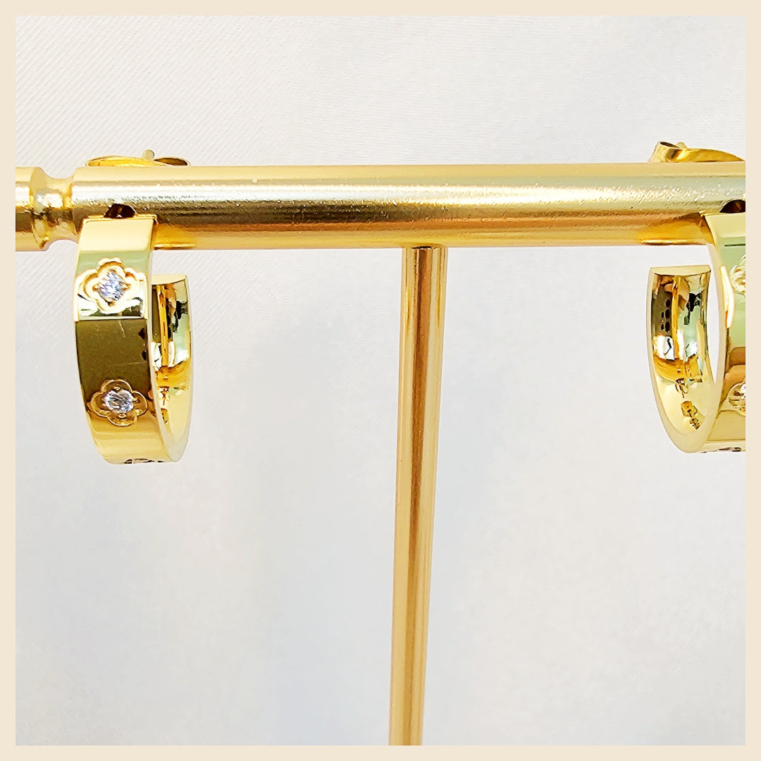 Lian Zircon Hoop Earings