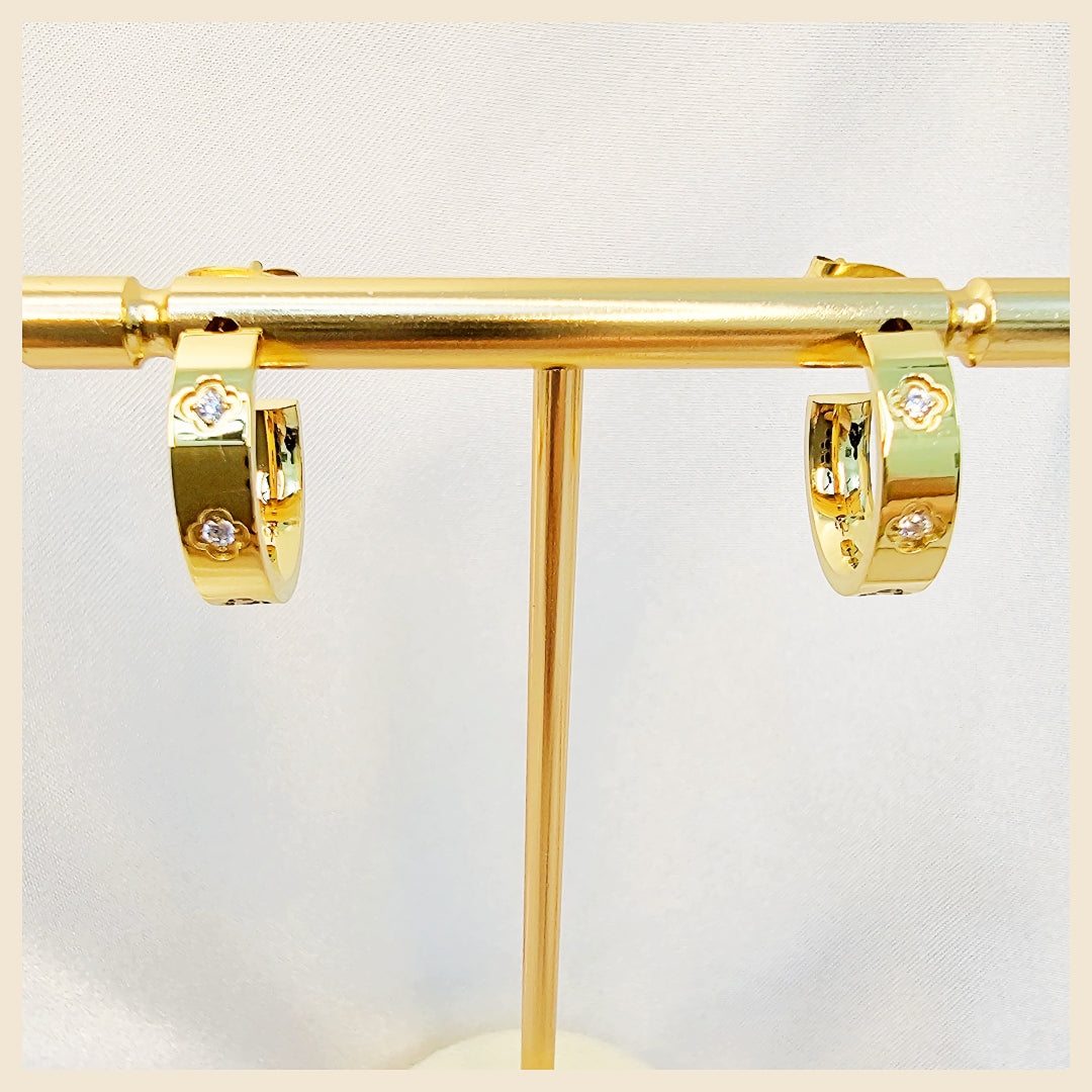 Lian Zircon Hoop Earings