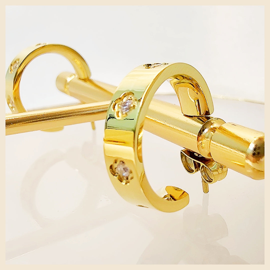 Lian Zircon Hoop Earings